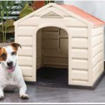 small dog house