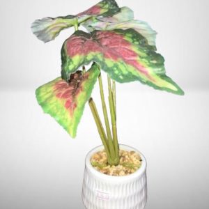Artificial Begonia