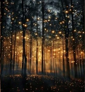 Firefly Forest Canvas Print