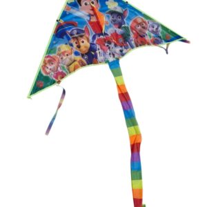 Kite