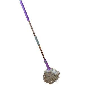 Twist Mop